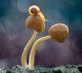 安全交易担保的免费ddos在线攻击